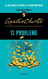 13 probleme