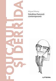 Foucault si Derrida. Volumul 26. Descopera Filosofia