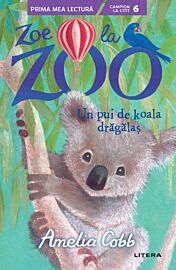 Zoe la ZOO. Un pui de koala dragalas (Nivelul 6)