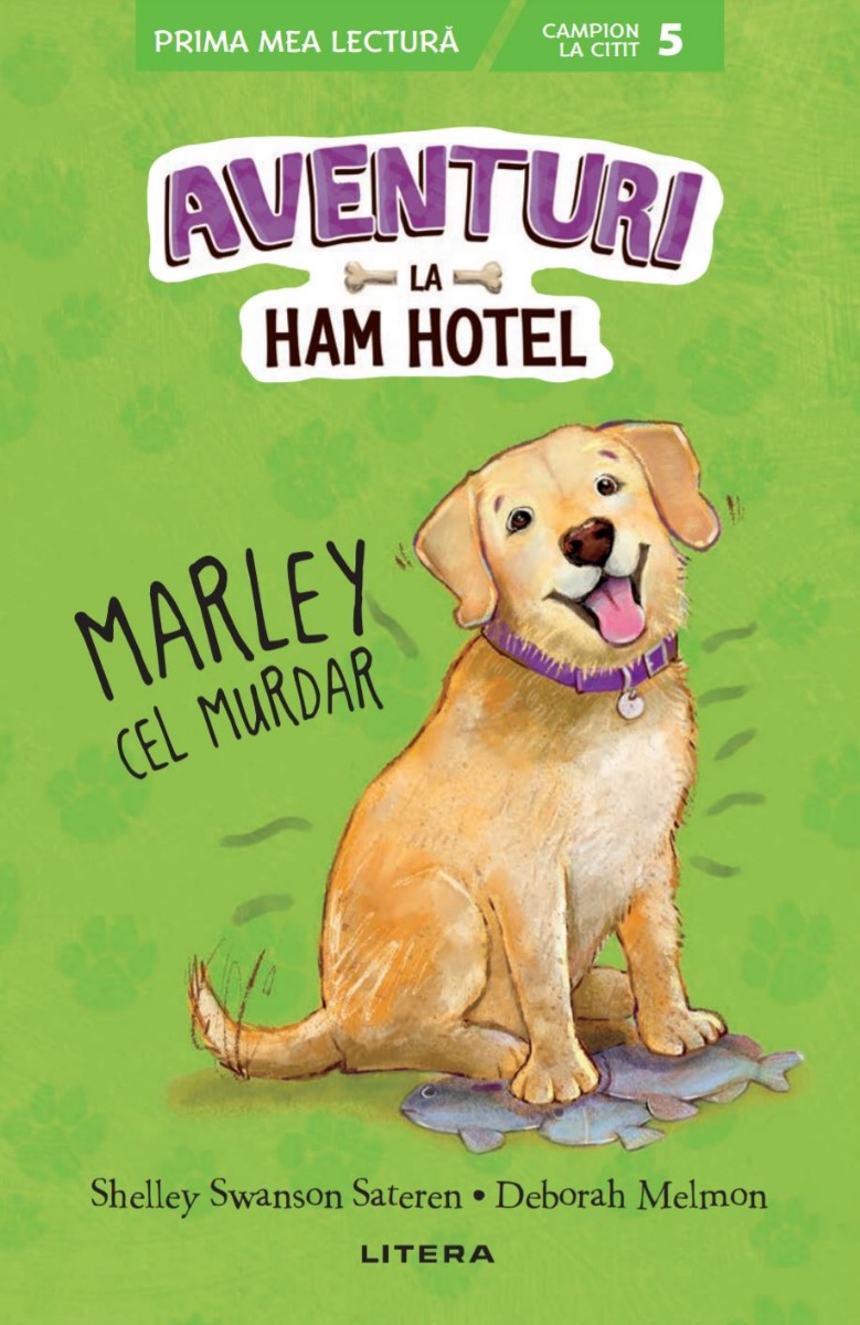 Aventuri la Ham Hotel. Marley cel murdar (Nivelul 5)