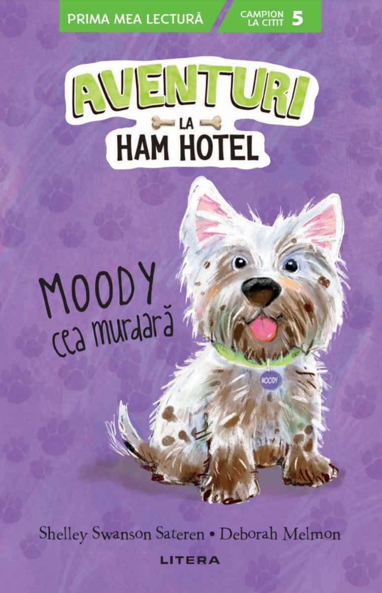 Aventuri la Ham Hotel. Moody cea murdara (Nivelul 5)