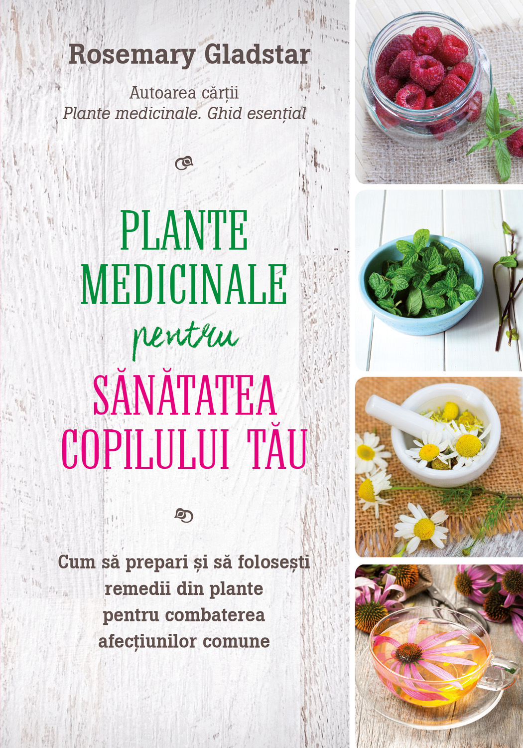 Plante medicinale pentru sănătatea copilului tău