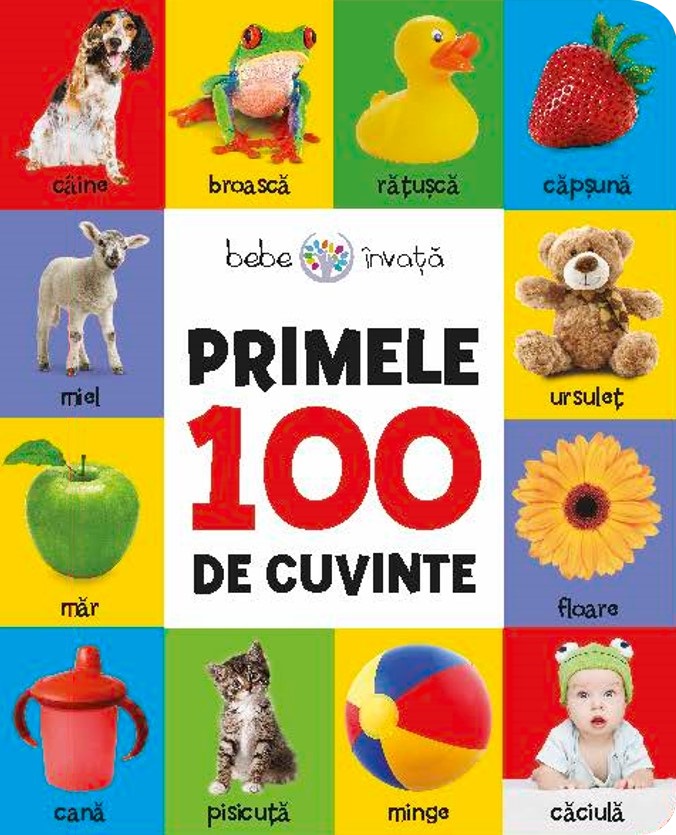 Bebe invata. Primele 100 de cuvinte Cărți