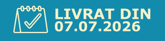 trabant13 trabant13